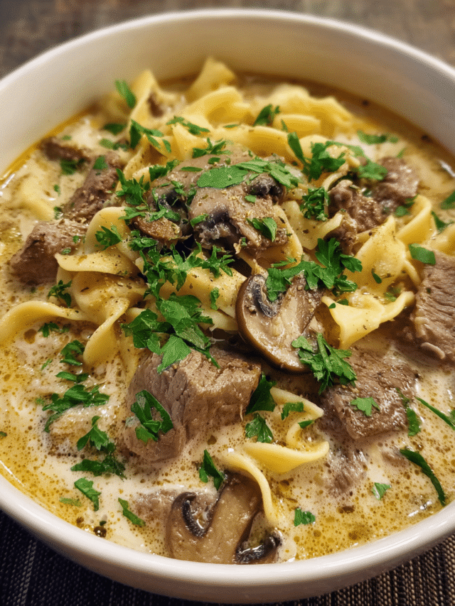 Beef Stroganoff Soup in rustic bowl