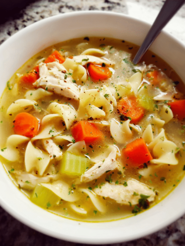 Bowl of homemade chicken noodle soup with carrots and noodles