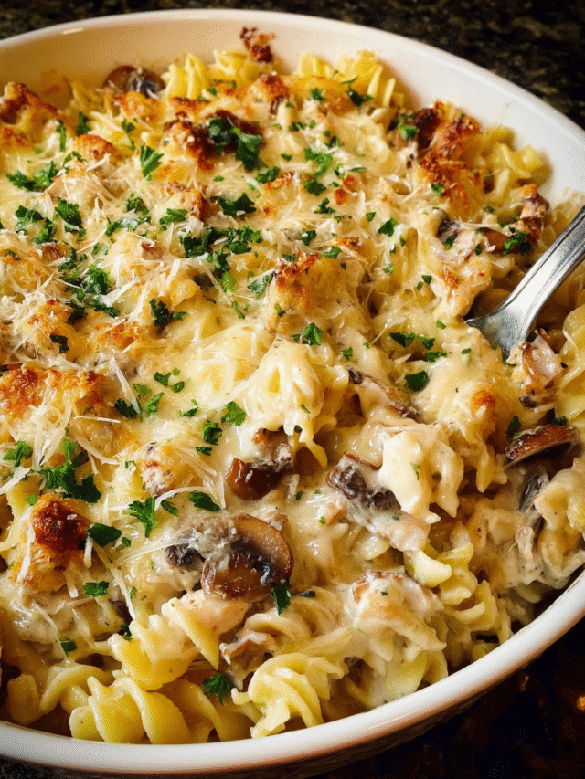 Creamy Chicken Alfredo Pasta baked with golden melted cheese and parsley